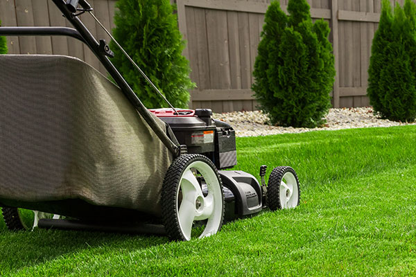 Hausmeisterservice, Gartenpflege, Rasen mähen, Planketal, Berlin, Potsdam, Brandenburg,