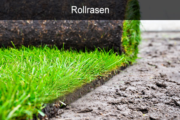 Rollrasen, Planketal, Berlin, Potsdam, Brandenburg,