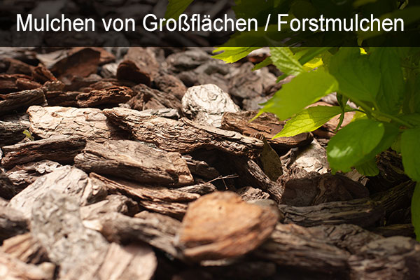 Mulcharbeiten, Gartenmulch, Forstmulchen, Planketal, Berlin, Potsdam, Brandenburg,