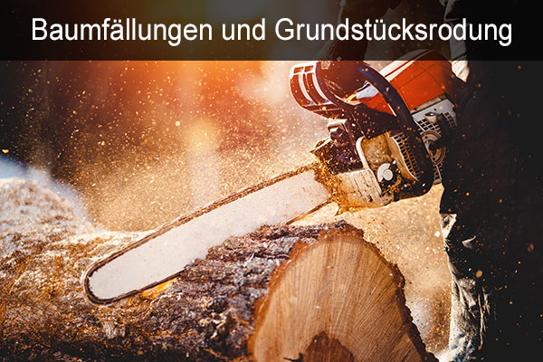 Baumfällungen, Grundstücksrodung, Planketal, Berlin, Potsdam, Brandenburg,