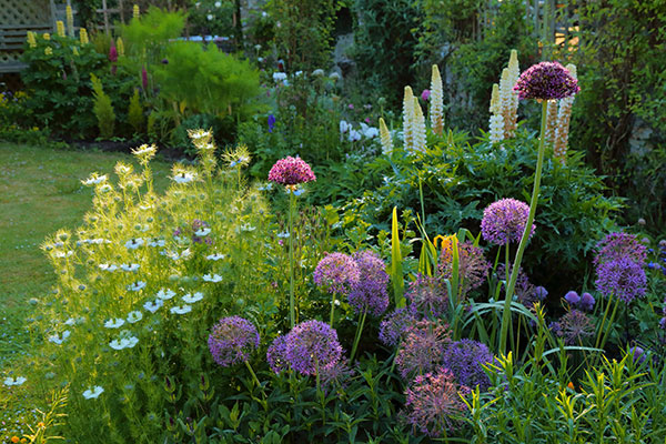Gartenbau, Galabau, Planketal, Berlin, Potsdam, Brandenburg,