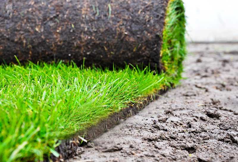 Galabau Panketal, Galabau Berlin, Gartenbau, Landschaftsbau, Brandenburg, Potsdam, Pflasterarbeiten, Pflasterbau, Gartenplanung, Zaunbau, Terrassenbau, Rollrasen, Baumfällungen, Grundstücksrodung, Häckselarbeiten, Erdarbeiten, Baggerarbeiten, Landschaftsbau, Teichbau, Gabionen, Pergolen, Treppenbau, Natursteinarbeiten, Altbausanierung, Mauerwerkstrockenlegung,