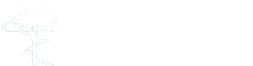 GBS Sanierungs GmbH, Brandschadensanierung, Wasserschadensanierung, Schimmelsanierung, Wohnungsrenovierung, Malerarbeiten, Bodenbelagsarbeiten, Leipzig, Berlin, Halle, Schkeuditz, Innenausbau, Trockenbau, Fliesenleger, Fliesenarbeiten, Malerbetrieb, Bodenleger,